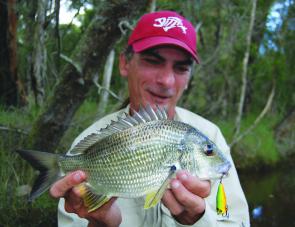 The author with another lake bream taken on a popper cast over shallow weed beds early in the morning.